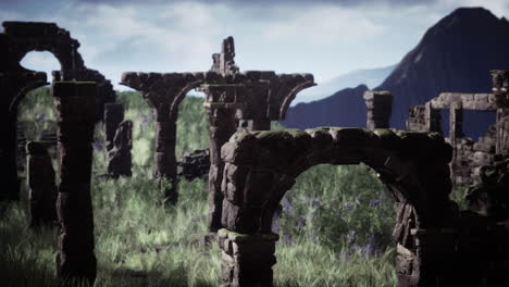 ancient stone ruins overgrown with grass and flowers