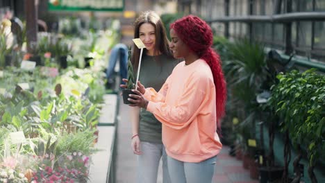 Two-women-walking-along-rows-of-plants-of-plant-store,-found-perfect-flower