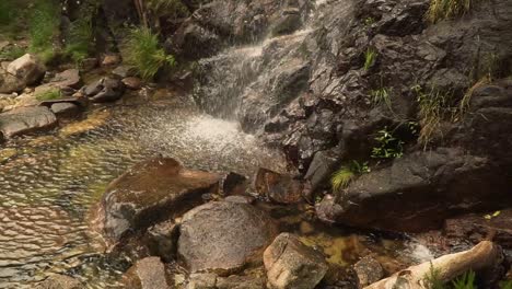 arroyo de aguas tranquilas en ponta do sol, isla de madeira, portugal