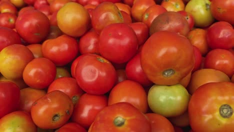 tracking shot of fresh tomatoes for sale at the farmers market, tomato's for sale indian sabzi market