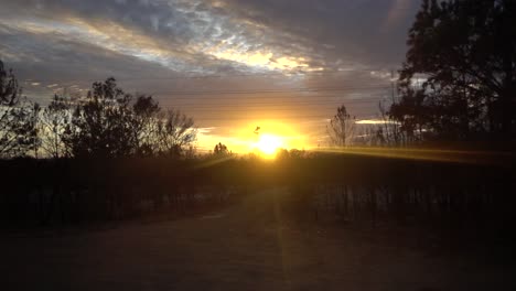 Slomo-De-Una-Hermosa-Puesta-De-Sol-Africana-Tomada-Desde-Un-Auto-En-Movimiento-Con-Siluetas-De-árboles-En-Primer-Plano