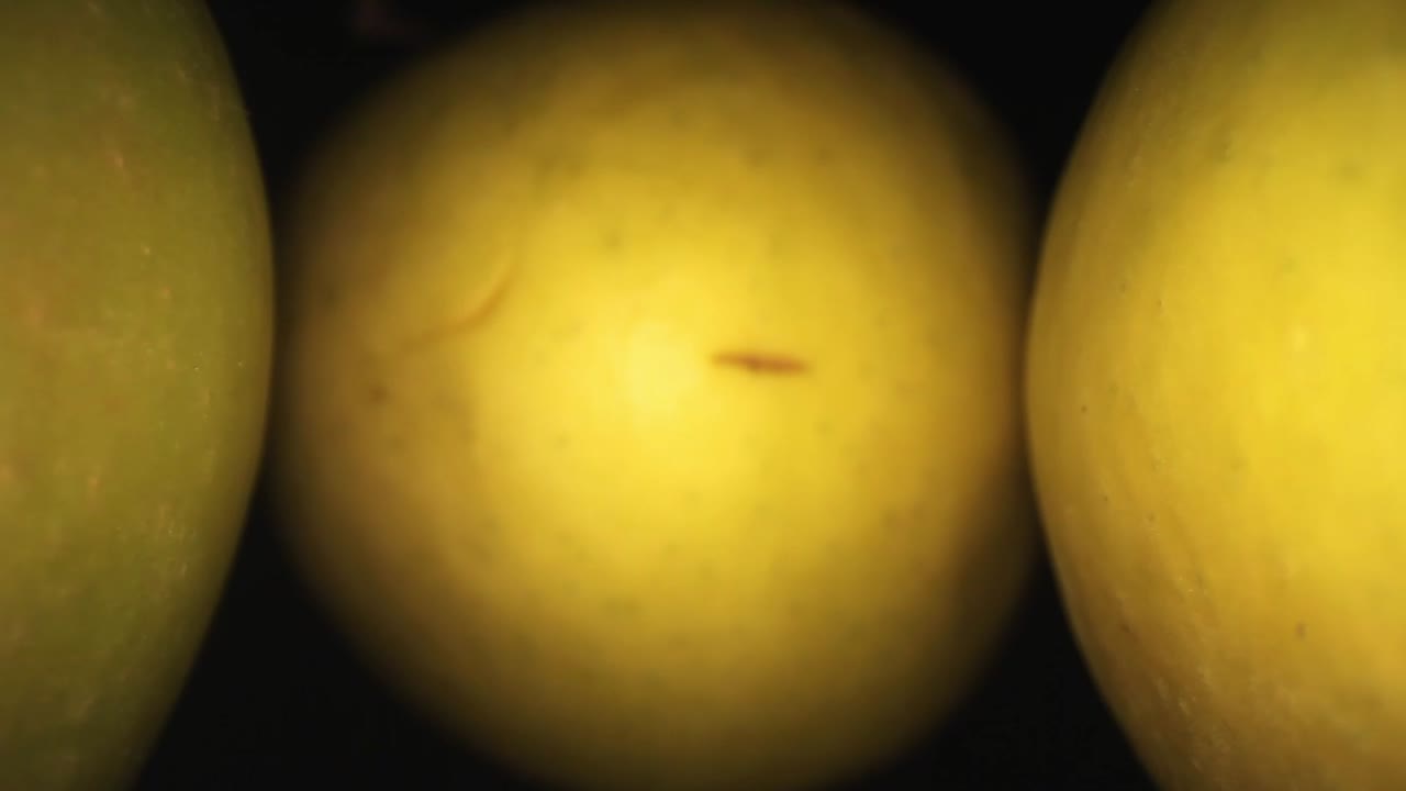 alejándose lentamente de una manzana que tiene algunas marcas en el medio, finalmente aparecen otras 2, 1 a cada lado