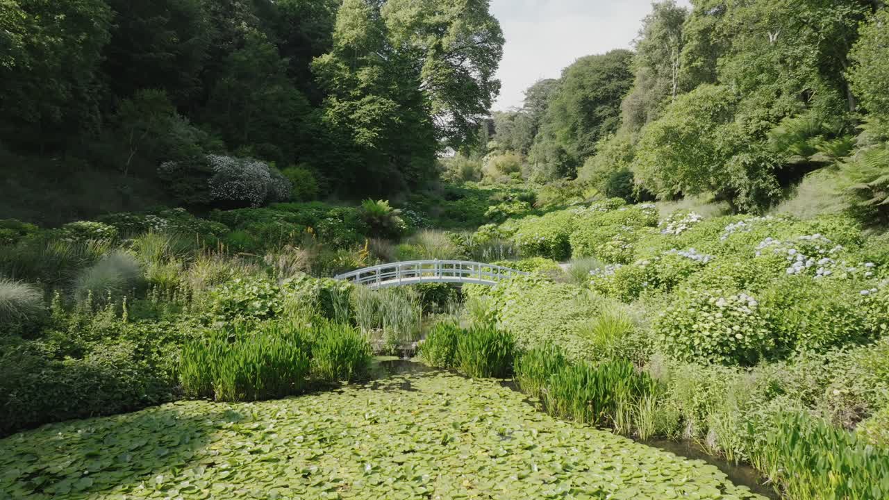 Small white wooden bridge over stream into lily pad pond in tropical garden tree lined valley on summer day,