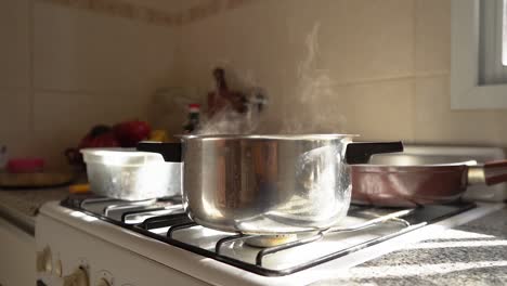 El-Vapor-Surge-De-Un-Plato-Cocinado-En-Una-Olla-De-Acero-Inoxidable