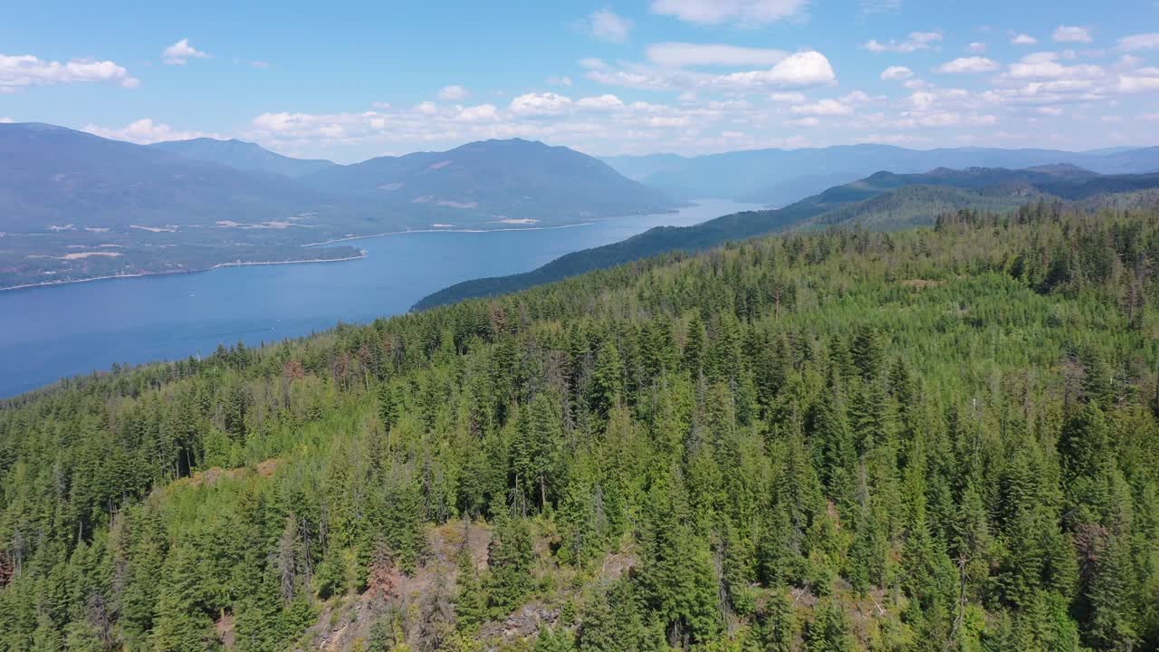 volando sobre el lago shuswap y sus alrededores serenos