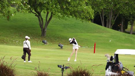 golfer executing a swing on a sunny day.