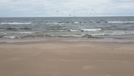 Gaviotas-Volando-En-El-Aire-Tormentoso-Sobre-Las-Olas