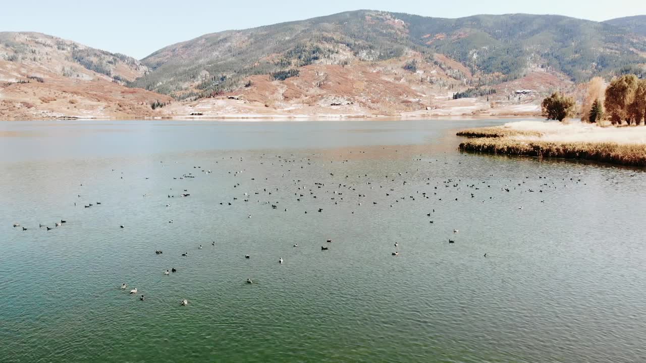 콜로라도 주 스팀보트 스프링스에서 오리 뗏목 위로 총에 맞은 돌리