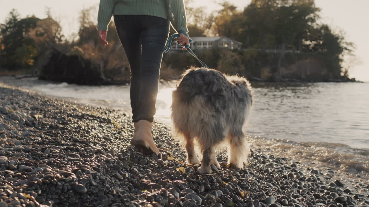 A woman walks with a dog at the shore of the lake, walking near the water's edge. The sun illuminates the waves and splashes of water