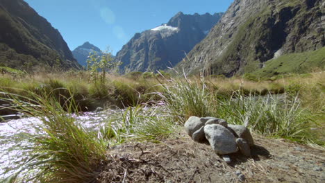 steady shot of a creek in a valley sorrounded by mountains in the background, fiordland nationalpark, new zealand