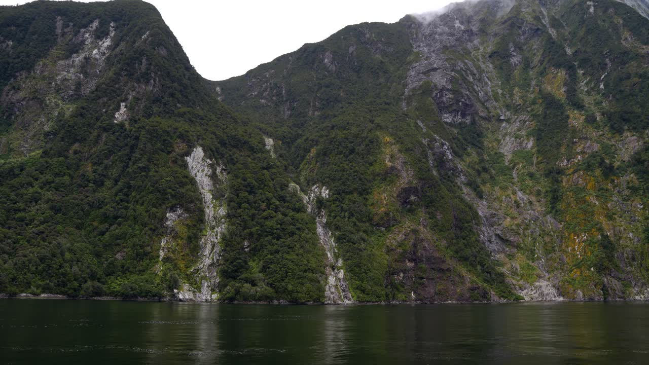 밀포드 사운드에서 나무 산사태의 개념