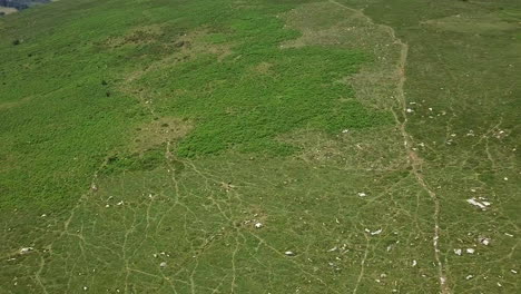 wide-shot aerial tracking forward over green summery moorland landscape, with wildlife paths