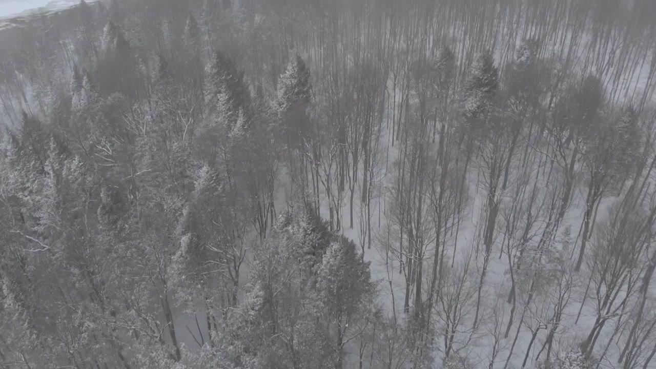 Aerial tilt-up over frozen trees and towards a river on the horizon on an overcast day near Drummondville Quebec Canada