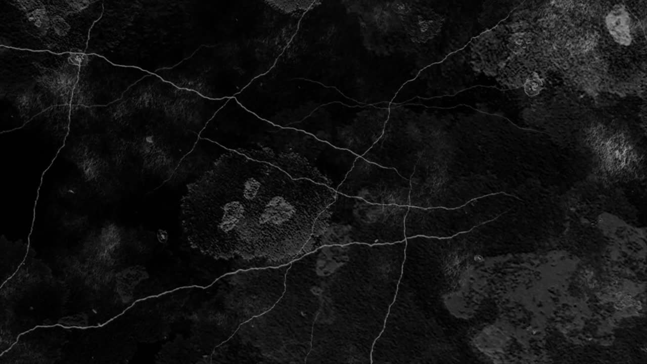 Texture grunge scura animata con crepe bianche