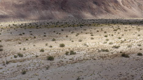 Views-of-Vegetation-and-clay-rich-soils-in-the-Badlands,-Aerial