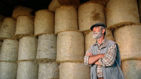 caméra zoomant sur un vieil agriculteur aux cheveux gris de race blanche debout dans une écurie avec des stocks de foin et souriant à la caméra