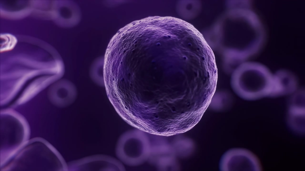 Vista estremamente ravvicinata di una singola cellula sferica che galleggia attraverso una sospensione microscopica viola intenso, circondata da cellule circolari sfocate e membrane tubolari con texture porosa, bagliore soffuso e