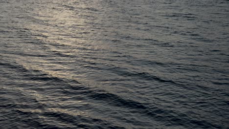 Calm-Contemplative-Waves-Calmly-Breaking-With-During-Sunset-Golden-Hour-Light