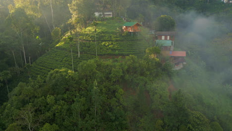 establishing aerial drone shot around hill with tea plantations and huts on sunny and misty morning in ella sri lanka