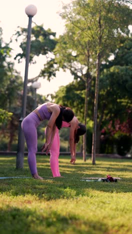 mujeres practicando yoga al aire libre en un parque