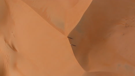 high aerial view of people on the highest dune in the empty quarters, oman, in summer