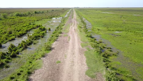 Wetlands-of-northeast-Argentina-shooted-with-drone