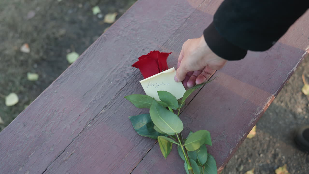 Jediná červená růže na dřevěné lavičce, ruka pokládající malý ručně psaný vzkaz, detailní záběr na texturované dřevo a zelené listy, rozházené podzimní okvětní lístky na zemi, nálada zamyšlená a melancholická, narativní.