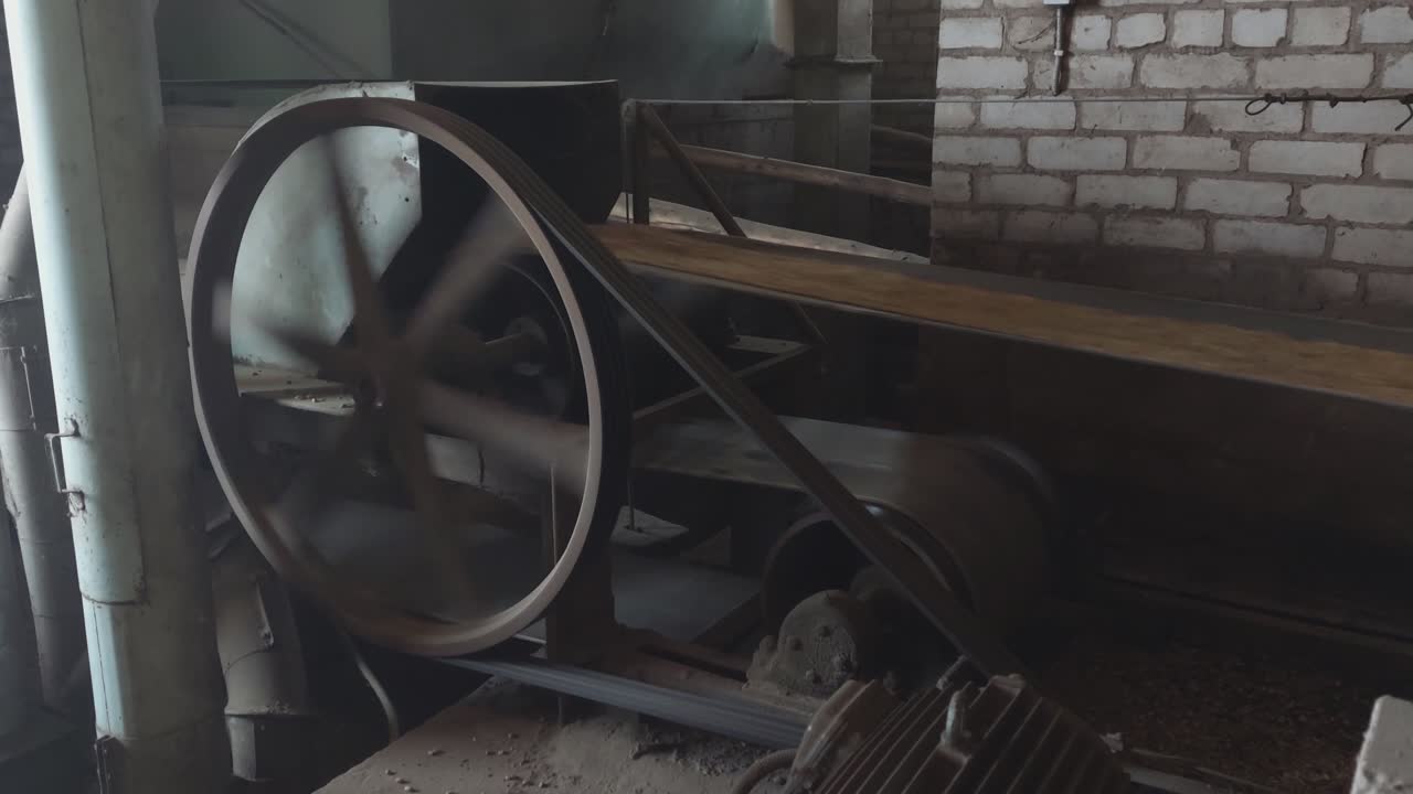 운송 벨트 컨베이어의 곡물