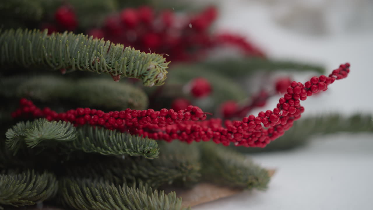 Close-up de amaranto vermelho em galhos de pinheiro com bagas espalhadas, profundidade de campo rasa e luz de inverno nítida, borda de embrulho kraft no quadro, estilizando cena para centro de mesa de feriado ou design de presente.