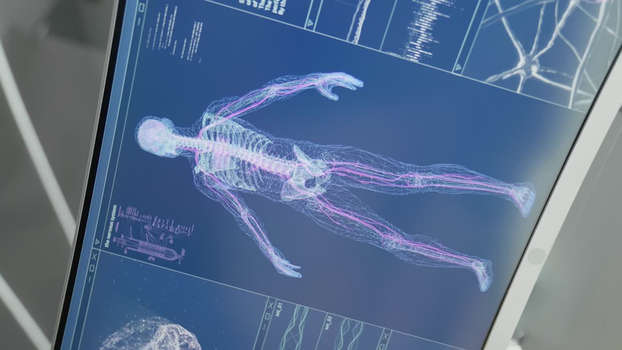 Human skeleton models on computer screen. Looking for injury. Futuristic laboratory research. Vertical video
