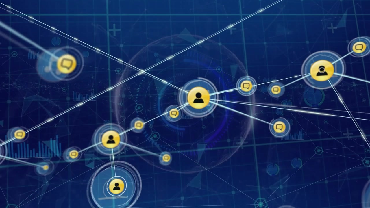 Animation of network of connections over data processing