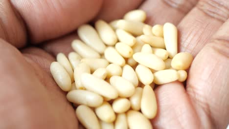 pine nuts in hand