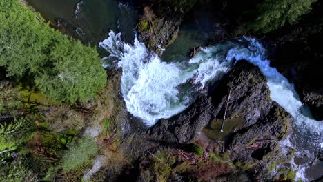lucia falls es una de las cinco cascadas con nombre a lo largo del east fork lewis river cerca del campo de batalla