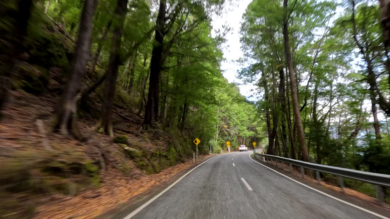 Vehicle drives along winding forest road, lush greenery, natural daylight, smooth forward camera movement
