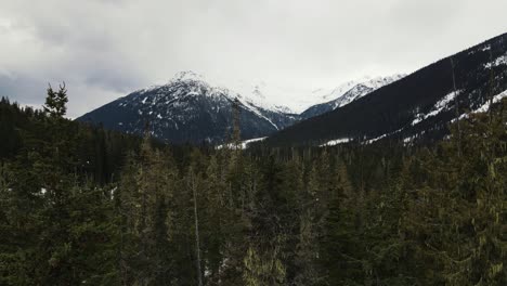 Slow-flying-over-forest-near-Duffey-Lake-in-British-Columbia,-Canada