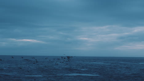 beautiful-ocean-view-on-cloudy-day-peaceful-seaside-morning-with-birds-flying