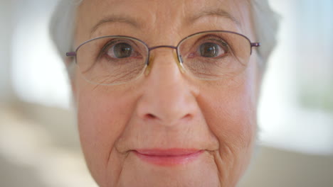 rostro en primer plano de los ojos de una mujer mayor con gafas