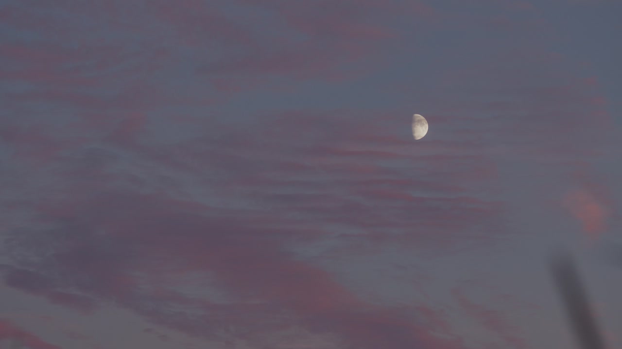 풀잎은 반달처럼 산들바람에 움직인다