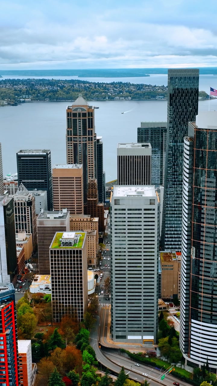 Volo sopra il centro di Seattle, Stato di Washington, USA. Paesaggio acquatico del Lago Washington sullo sfondo. Video verticale