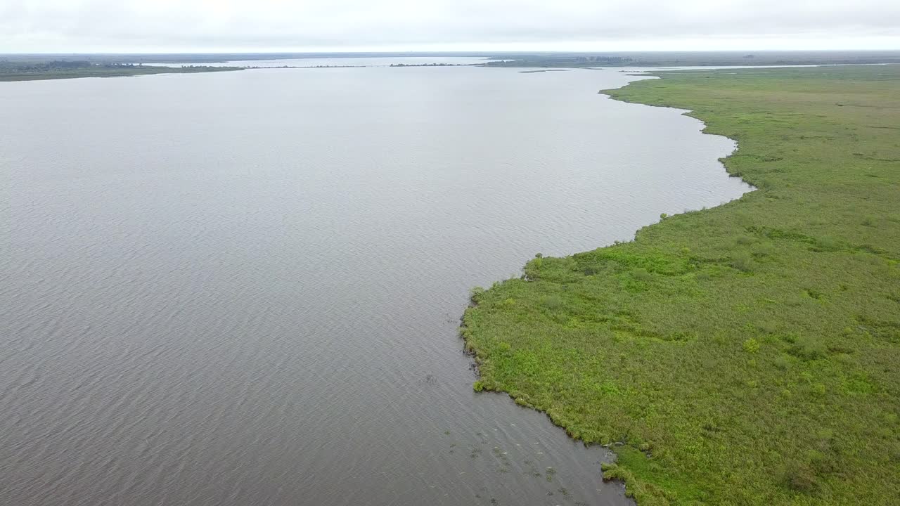 아르헨티나 북동부의 습지가 드론으로 촬영되었습니다.