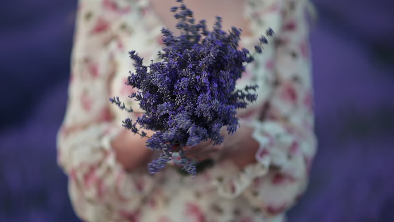 Portrait of a young woman holding and smelling a lavender bouquet in a blooming purple field
