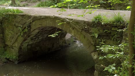 Friedliche-Alte-Waldsteinbrücke-über-üppige-Waldwanderwege-Streamen-Langsame-Rechte-Szene