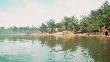 Beautiful-colorful-summer-spring-natural-landscape-with-a-lake-in-Park