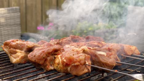 Marinated-meat-on-sticks-is-grilled.-Static-shot