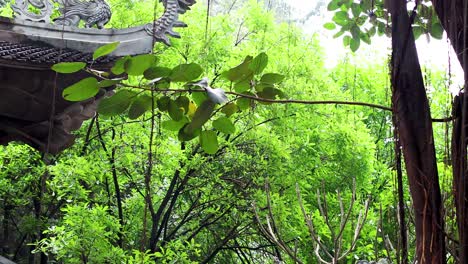 el techo del templo en medio de hojas y árboles verdes vibrantes