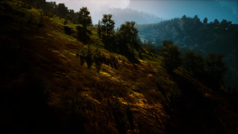 Bosque-De-Otoño-En-Verdes-Colinas-Rocosas