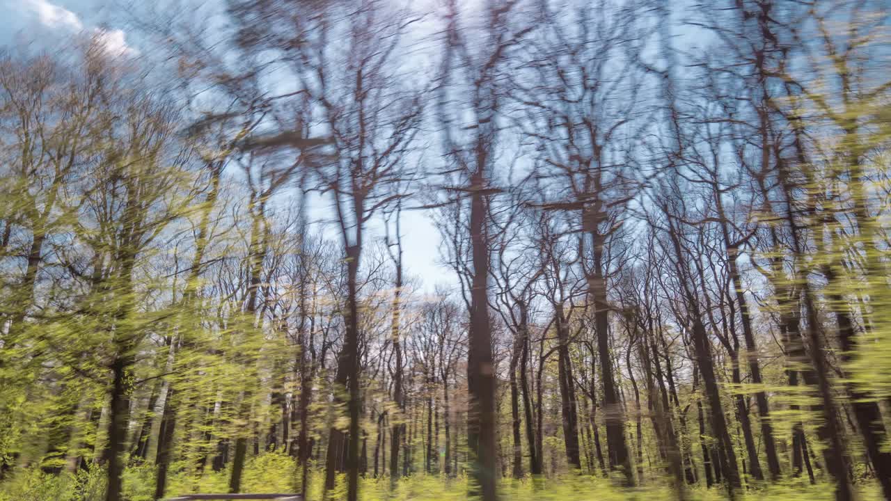 프라하 hvezda 공원에서 산책