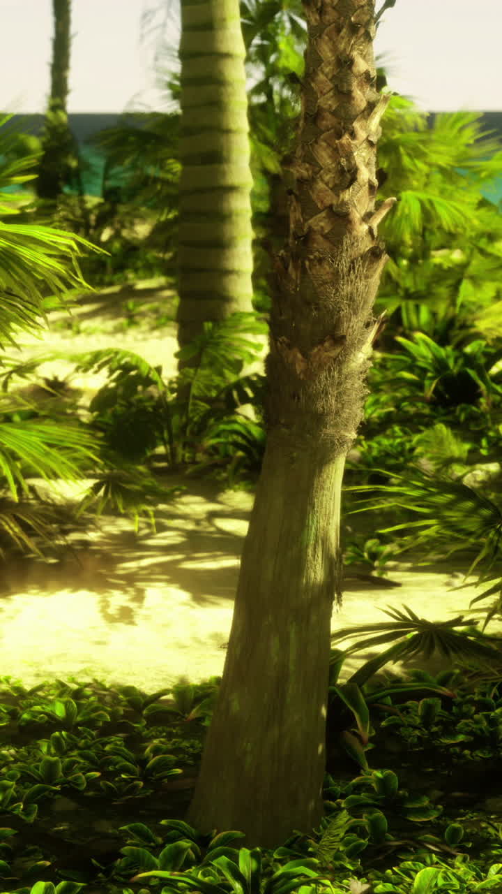 Lush tropical landscape filled with vibrant plants under bright sunlight