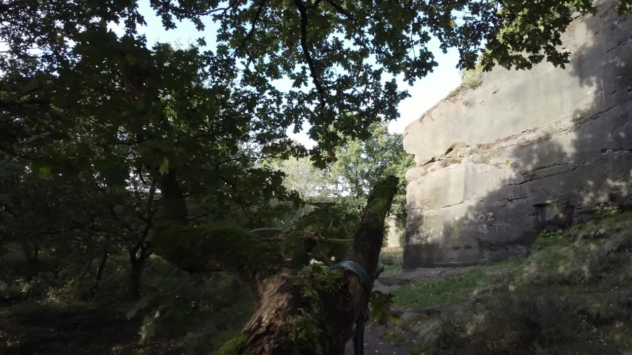 fpv drone tejiendo a través de densos árboles de cantera con luz solar brillando a través de un espeso follaje