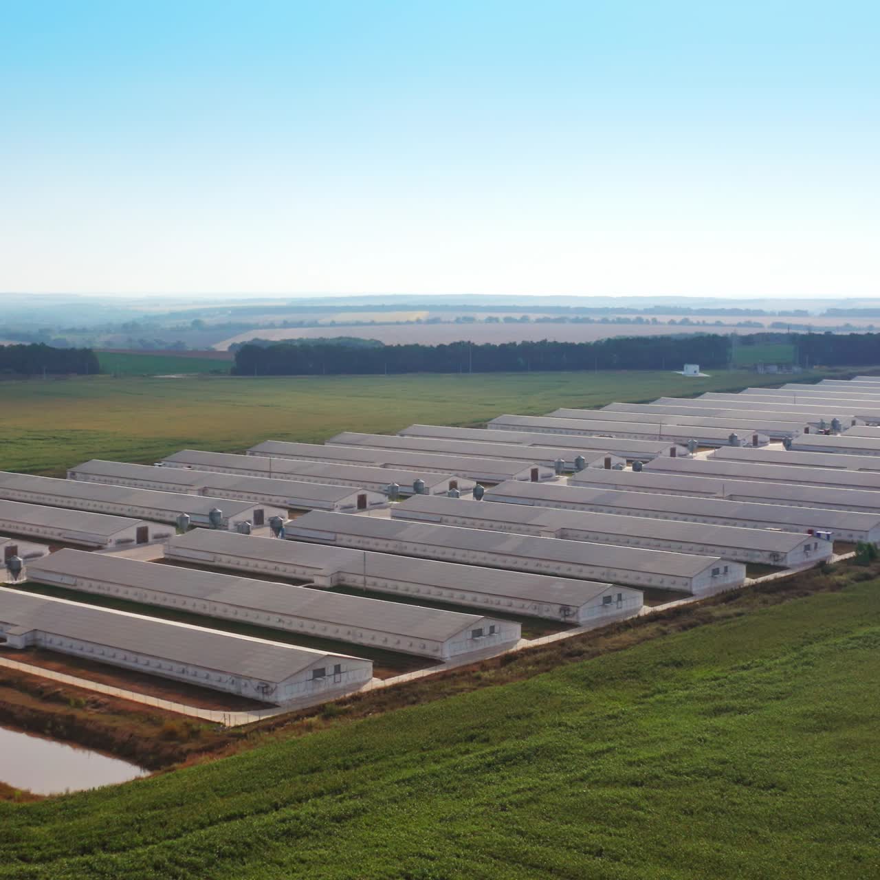 White buildings in rows at the modern agricultural farming company. Rising shot over the farmlands opening the territory of a farm and landscapes behind